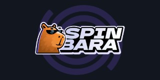 SpinBara